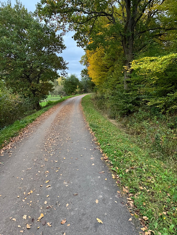 Weg im Herbst