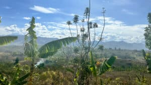 Landschaftsaufnahme mit Himmel